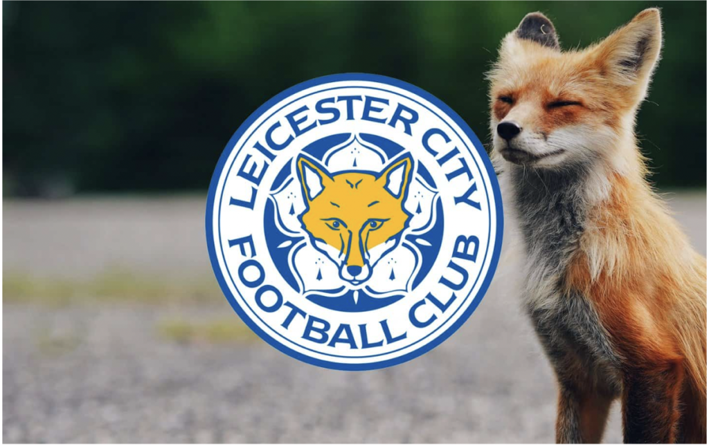 Leicester City The Magnificent Foxes relegated after 7 years