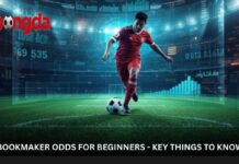 Bookmaker Odds – A Betting Language Every Player Should Learn