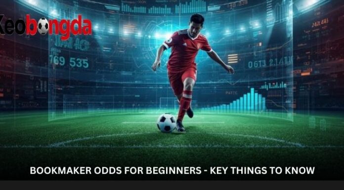 Bookmaker Odds – A Betting Language Every Player Should Learn