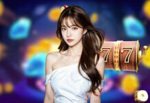 Winbox8 modern platform delivering seamless experience