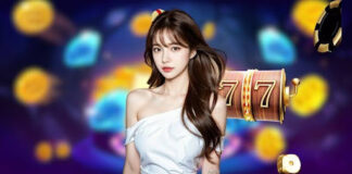 Winbox8 modern platform delivering seamless experience