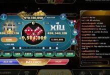 Online Sic Bo – Essential Knowledge to Know When Playing