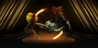 ee88 cockfighting and exciting betting halls for cockfighting enthusiasts.