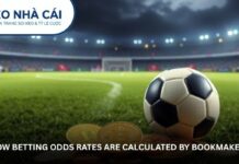Advanced Betting Odds Rate Analysis for Maximum Profit Potential