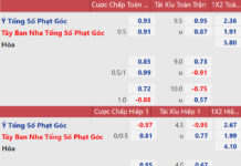 What Are Bookmaker Odds? A Complete Guide to Reading and Analyzing Them for Beginners