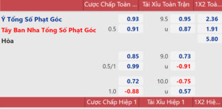 What Are Bookmaker Odds? A Complete Guide to Reading and Analyzing Them for Beginners