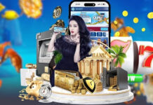 Reze88 Online Casino Platform – Experience Advanced
