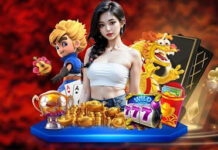 Choosing the Right iGaming White Label Platform for Building a Successful Online Casino Brand