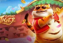 Fortune Tiger Slot Review – BC.Game Big Win Potential & APK