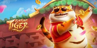 Fortune Tiger Slot Review – BC.Game Big Win Potential & APK