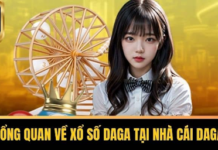 DAGA Lottery – Explore a Wide Range of Exciting Lottery Games on a Single Platform