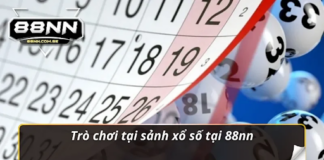 88NN Lottery – Explore an Exciting World of Lottery Draws with Daily Entertainment Options