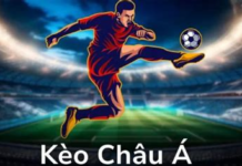 Asian Handicap at Sunwin – Follow Accurate Odds with Comprehensive Football Data