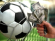 Online Football Betting at a Football Betting Site with Diverse Betting Markets Every Day