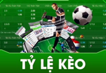 KQBD Odds – A Wide Range of Betting Markets Updated Before Kick-Off
