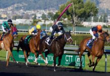 Horse Racing Betting: Bet Types, Form and Bankroll