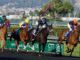 Horse Racing Betting: Bet Types, Form and Bankroll