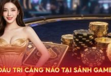 Sum Club Card Games: Tips to Quickly Familiarize Yourself with the Interface Sum Club Card Games