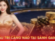 Sum Club Card Games: Tips to Quickly Familiarize Yourself with the Interface Sum Club Card Games