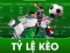 Betting Odds – Read the Markets and Identify Movements Before Every Match Betting Odds – Read the Markets