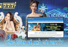 Reviewing Vin777 Within the Nha Cai Uy Tin Ecosystem Across Multiple Criteria How to Verify Vin777 – Licensing, Promotions, and Marketing Claims Should Be Cross-Checked