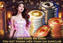 Introduction to Sumclub – Explore an Entertainment Space with a Wide Range of Distinctive Choices Sumclub Ecosystem – Card Games, Casino, and Fish Shooting Create Three Distinctive Styles