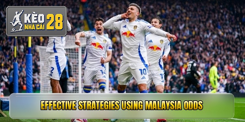 Effective strategies using Malaysia odds