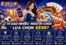 EE88 – What Users Should Know Before Exploring an Online Entertainment Platform EE88 Online Entertainment Platform