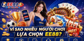 EE88 – What Users Should Know Before Exploring an Online Entertainment Platform EE88 Online Entertainment Platform