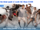 Sports C168 and a Smarter Approach to Markets Odds and Match Analysis Markets, odds, match selection and essential preparation