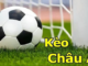 European Odds in Football Betting Odds – Explore 1, X, 2 and How to Read the Odds European Odds in Football Betting Odds