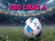Asian Handicap at Football Odds – Understanding Handicap Lines and How to Read Each Level Asian Handicap
