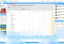 Football Standings – How to Read League Tables and Evaluate Team Performance League position is usually determined by total points.