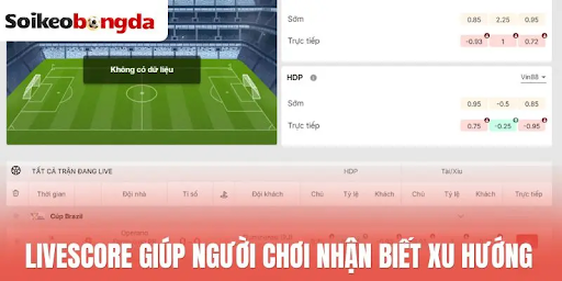 Livescore at Soi Kèo Bóng Đá Adds Goals, Cards, and Substitutions