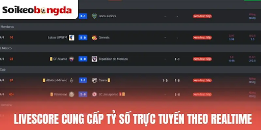 Livescore at Soi Kèo Bóng Đá Helps Compare Match Flow with Pre-Match Data