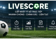 Livescore – How Football Fans Can Use Real-Time Match Information More Effectively fans can begin by checking basic fixture information such as teams, competition, venue, and kickoff time.