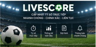 Livescore – How Football Fans Can Use Real-Time Match Information More Effectively fans can begin by checking basic fixture information such as teams, competition, venue, and kickoff time.