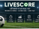 Livescore – How Football Fans Can Use Real-Time Match Information More Effectively fans can begin by checking basic fixture information such as teams, competition, venue, and kickoff time.