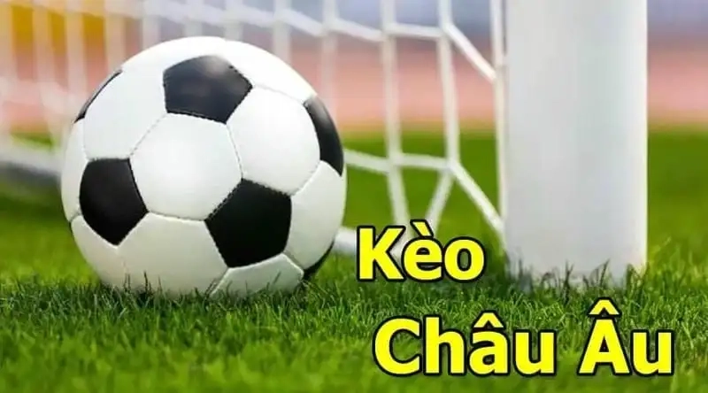 An Image showing a football and a goal post net