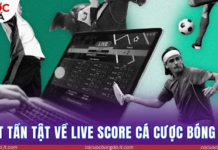 The Match Is Live, the Data Keeps Changing – Follow Livescore at Cá Cược Bóng Đá Livescore at Cá Cược Bóng Đá Organizes Live Matches by Time, Competition, and Status
