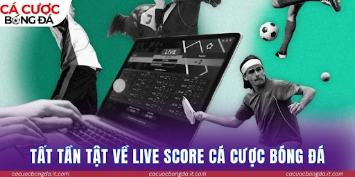 Livescore at Cá Cược Bóng Đá Organizes Live Matches by Time, Competition, and Status