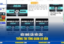 Football Fixtures: How to Follow Upcoming Matches and Plan Your Football Viewing What Are Football Fixtures?