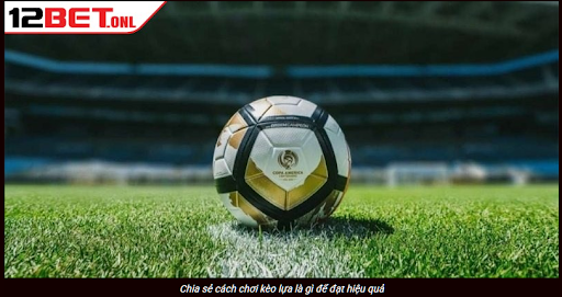 Understanding Match-Result Markets