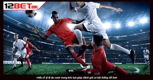 What Do Betting Odds Represent?