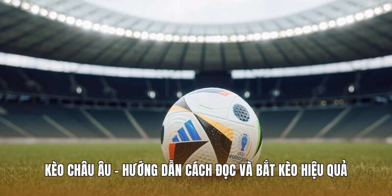 What Factors Should Be Analyzed in European Betting at Vebo?
