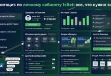Navigating your 1xBet personal account: everything you need to know Структура личного кабинета
