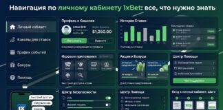 Navigating your 1xBet personal account: everything you need to know Структура личного кабинета
